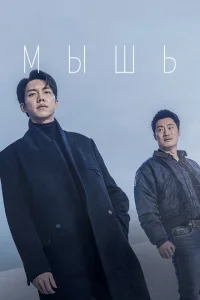 Мышь онлайн